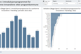 Deltakere i introduksjonsprogrammet