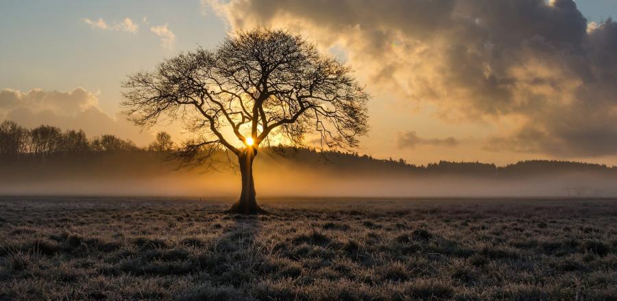 Hovedtema_Innledning